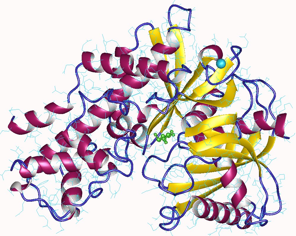 GK Activator Clinical Trial Results