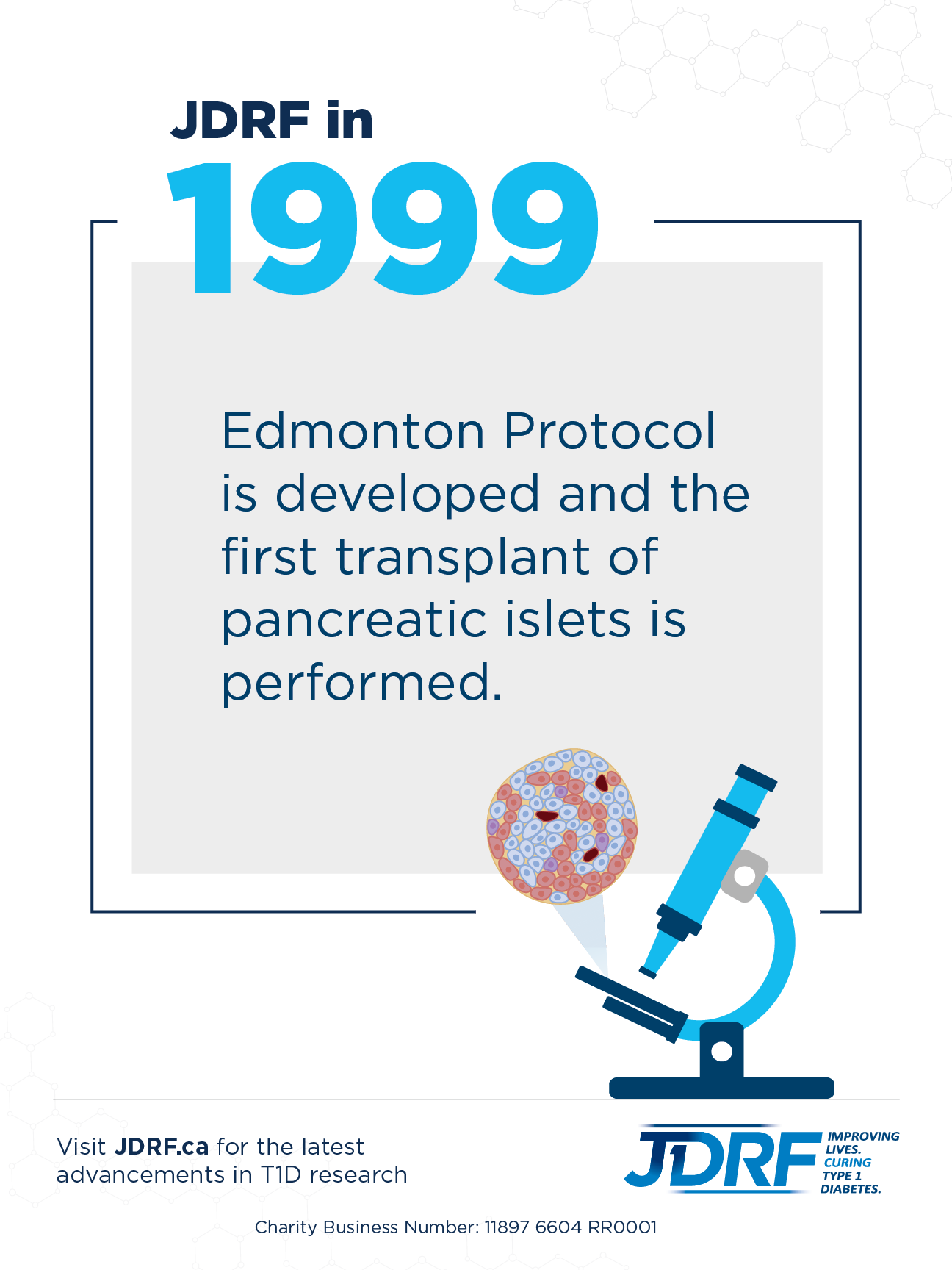 The 20th Anniversary of the Edmonton Protocol