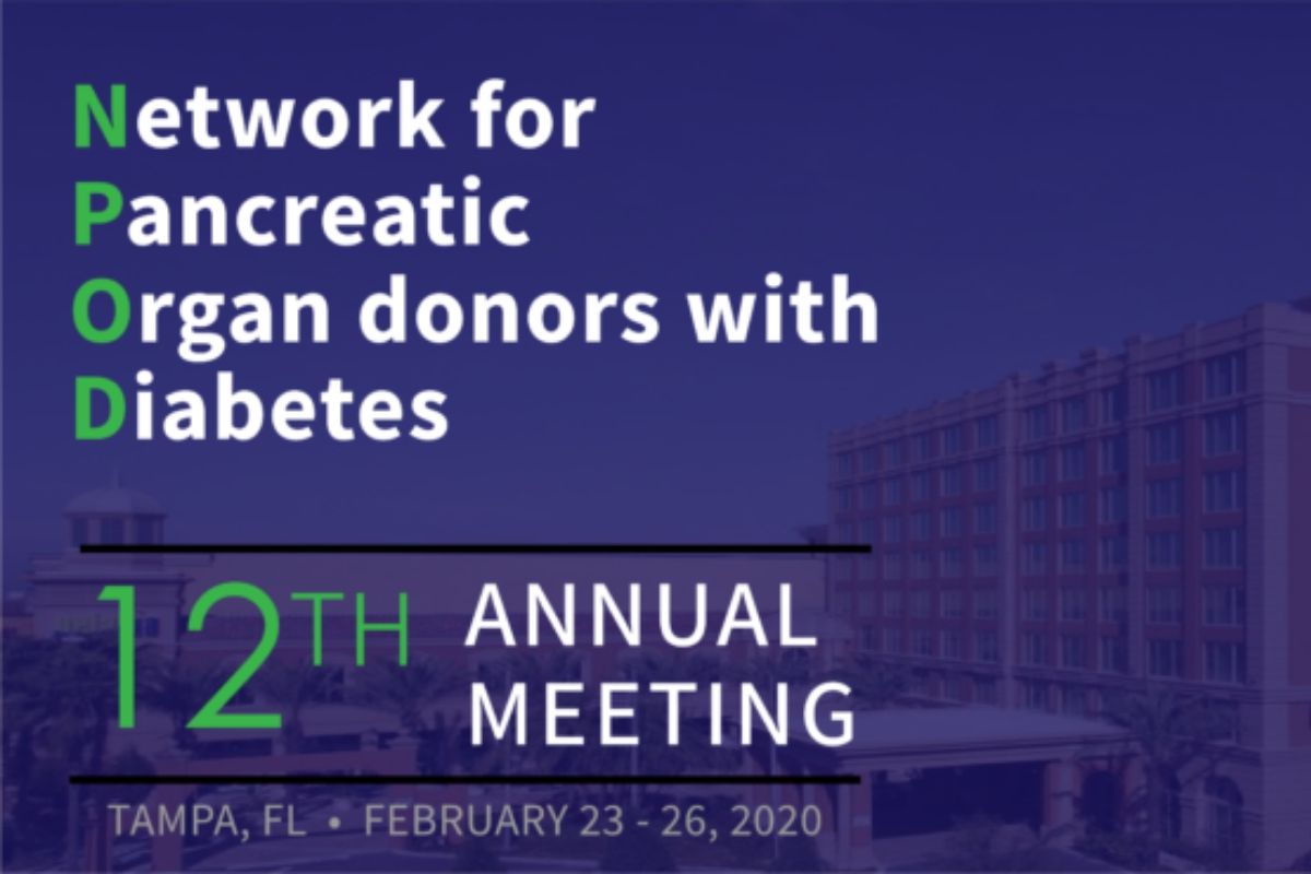 Collaboration and a Connection to T1D Researchers: Breakthrough T1D-nPOD Annual Meeting